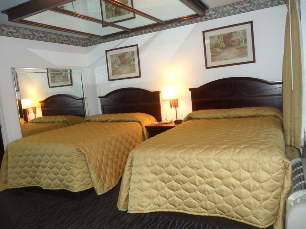 Palace Motel 2*