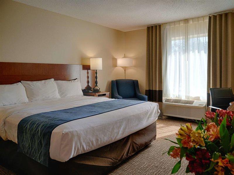 Hotel Comfort & North Dallas-addison Addison