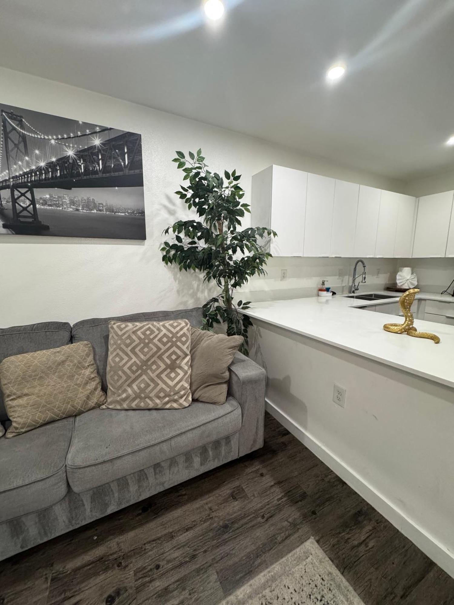 Apartment - Alluring 1 Bed 1 Bath